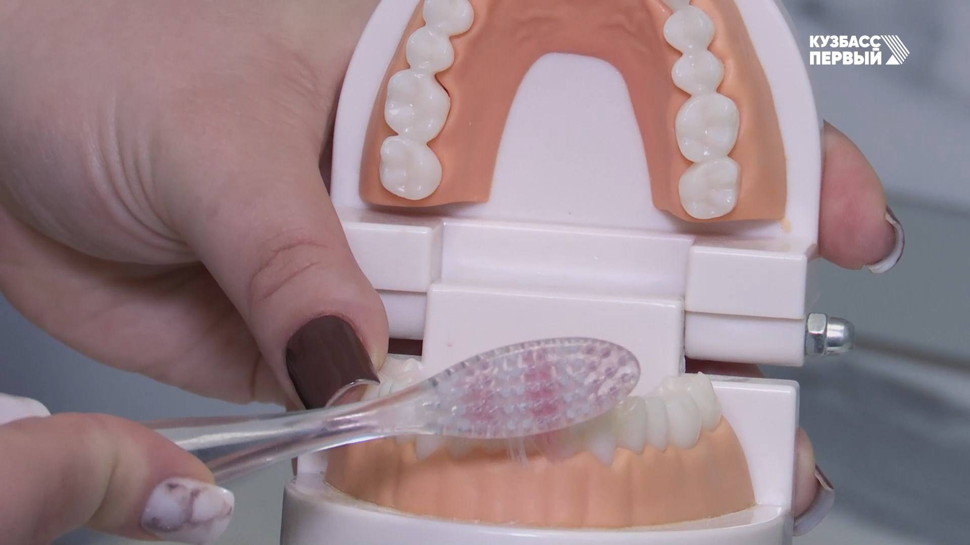 Здоровая улыбка России. Как правильно чистить зубы и нужен ли особый уход за имплантом?