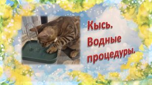 Кысь. Водные процедуры