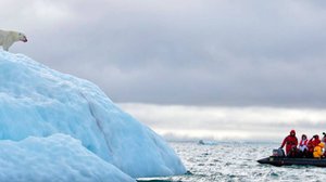 Северный шарм: Архангельск в фотографиях