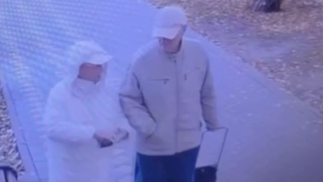 Полицейские устанавливают личность мужчины и женщины, подозреваемых в краже сотового телефона смотреть онлайн