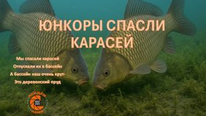 Спасение карасей