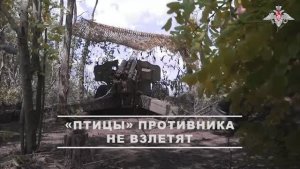 Уничтожение ПУ БПЛА ВСУ в районе Полтавки