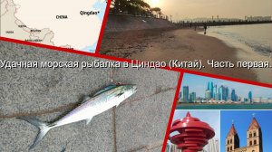 Удачная морская рыбалка в Циндао (Китай). Часть первая.