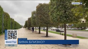 Парк «Краснодар» начали украшать к Новому году