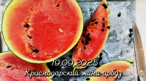 19.09.2025 Краснодарский мини-арбуз. Без косточек... Обещание не оправдало реальность...