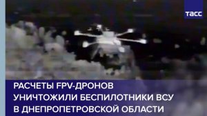 Расчеты FPV-дронов уничтожили беспилотники ВСУ в Днепропетровской области