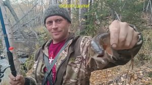 Рыбалка поплавочной удочкой по таёжным речкам. Голец, мальма.