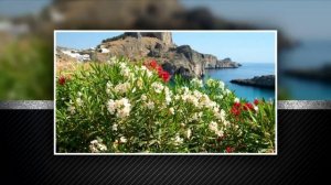 Artifact - Ambiences Of World