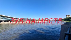 Зуб на месте