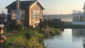 Бодрое осетровое утро