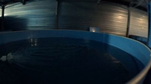 строим узв на 50 тон.
путь от еврокуба до мега узв