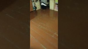 вечер с реборноми♥️