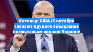 Уитакер: США 15 октября сделают крупное объявление по поставкам оружия Украине