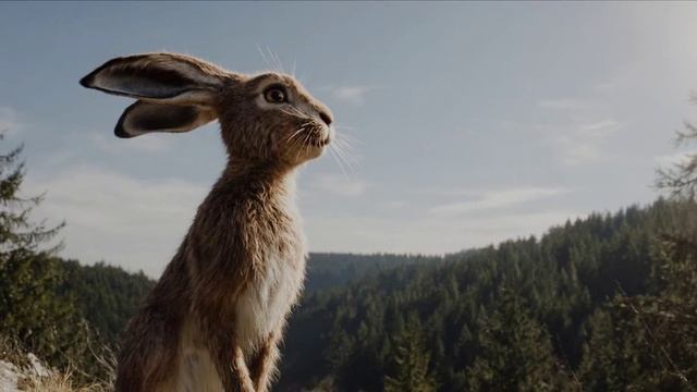 Про зайцев смотреть онлайн