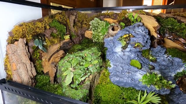 PALUDARIUM TUTORIAL _ Step by step