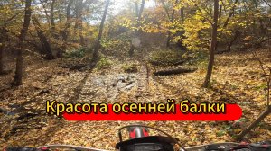 Красота осенней балки