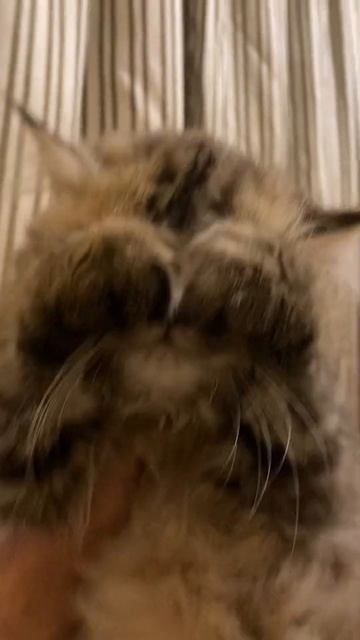 Ой, даже и не показывайте!