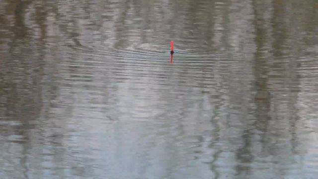 В проводку с колесом ! смотреть онлайн