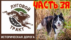 Осень, Луговой тракт, часть 3я: Шемякино, кофе на берегу и дорога домой