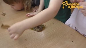 видеоэкскурсия 25 год