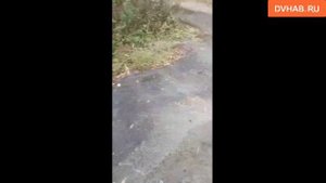 Трубу прорвало у дома на улице Нагорной