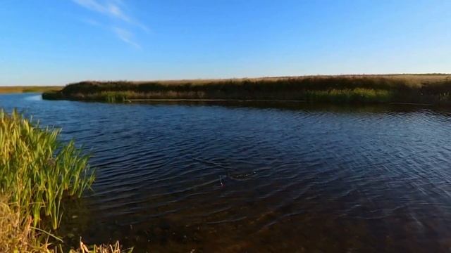 Самый простой способ рыбной ловли карася и плотвы смотреть онлайн