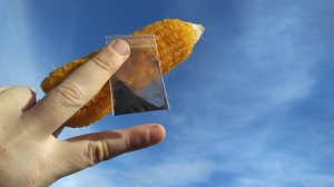 Уитлакоче🌽 Проект деликатесного продукта. Всё готово для старта, подключайтесь, описание в описании