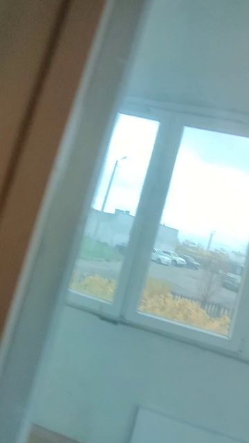 1000168941.mp4 смотреть онлайн