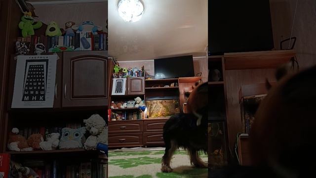 мощные драки смотреть онлайн