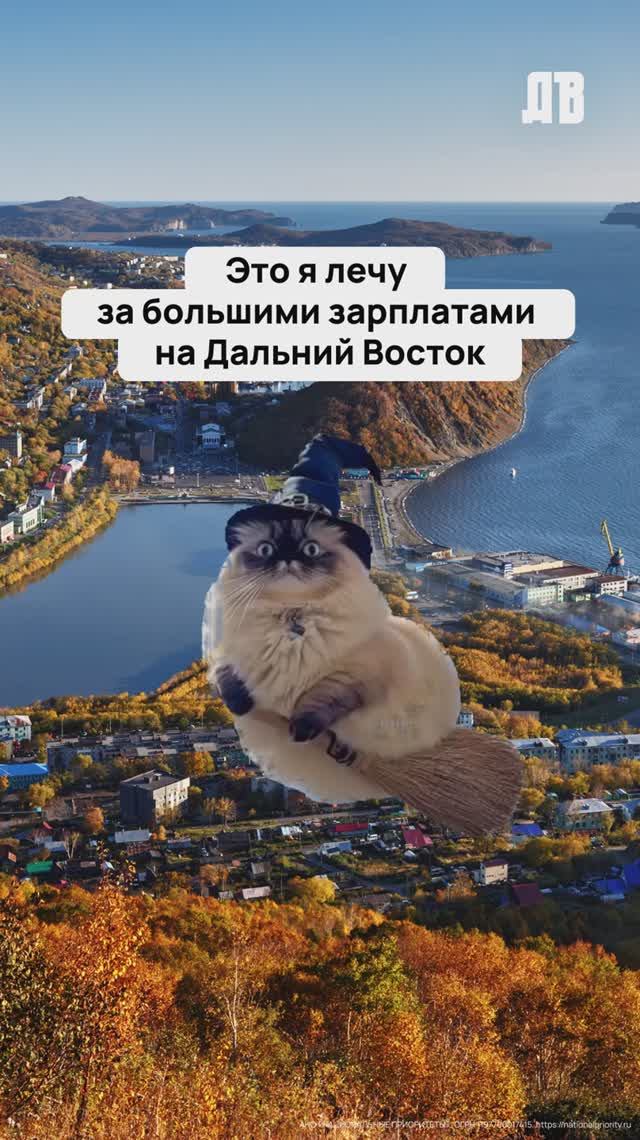 Вакансии на Дальнем