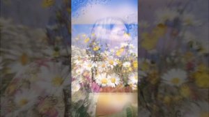 Васильковое поле.mp4