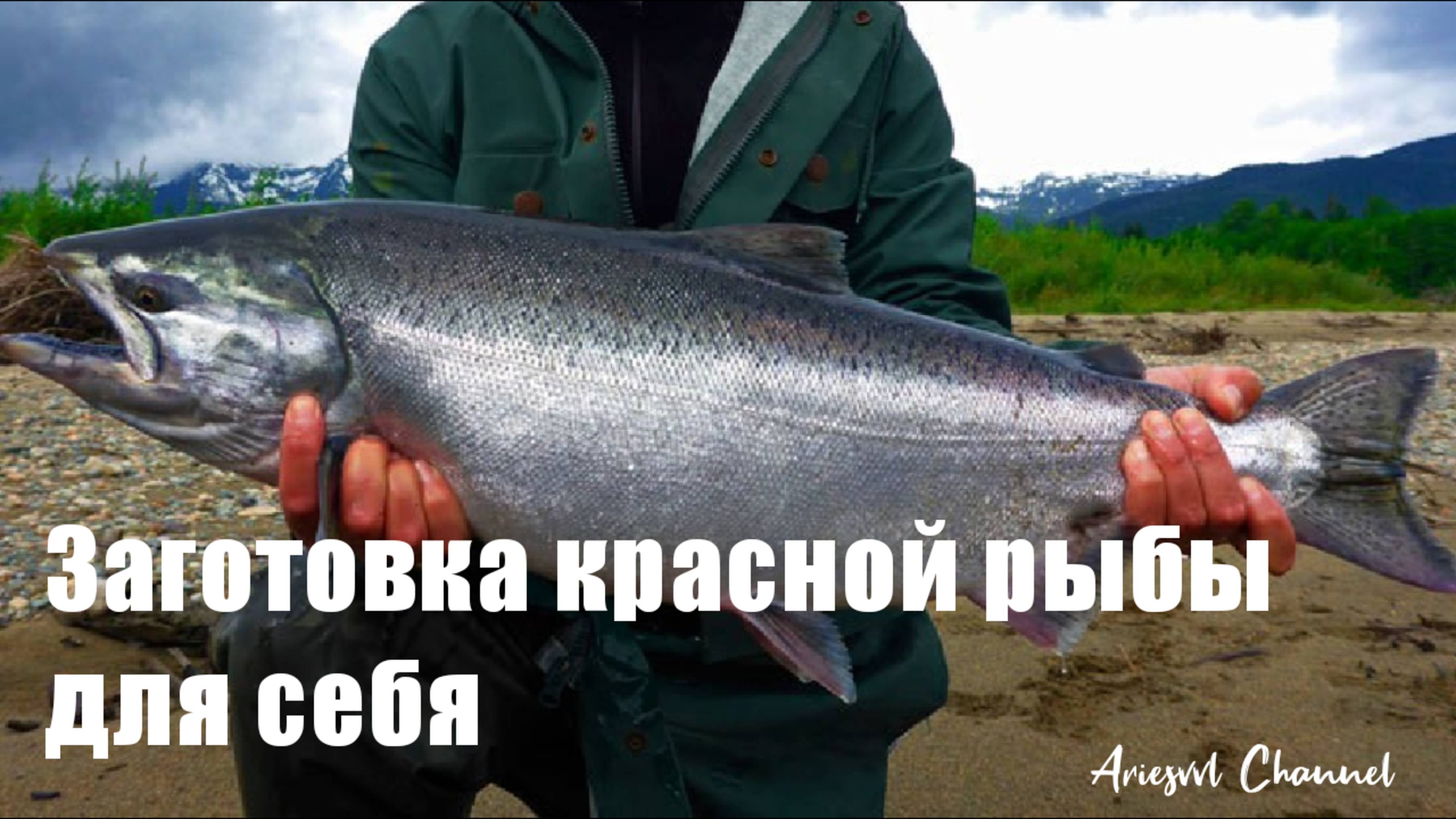 15. Заготовка красной рыбы