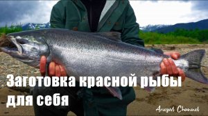 15. Заготовка красной рыбы