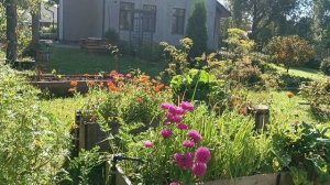 сад 4 сентября 2025 года