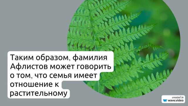 Рассказываем обо всем: происхождение и значение фамилии Афлистов, история ее возникновения и