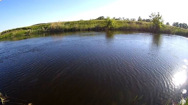 Рыбалка болонское удилище,инерционная катушка,плотва. смотреть онлайн