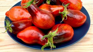 Бронзовые пальчики Сержанта Пеппера