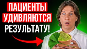 Пожилые, срочно начинайте пить листья этого дерева! Лучшее средство от 30 болезней!