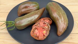 Черный тюльпан