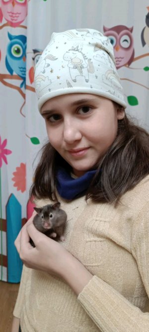 что-то новое