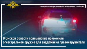 В Омской области полицейские применили огнестрельное оружие для задержания правонарушителя
