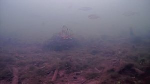 река Бартым