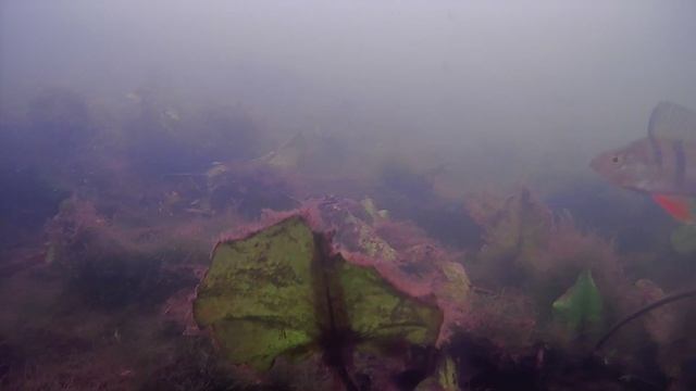 река Бартым