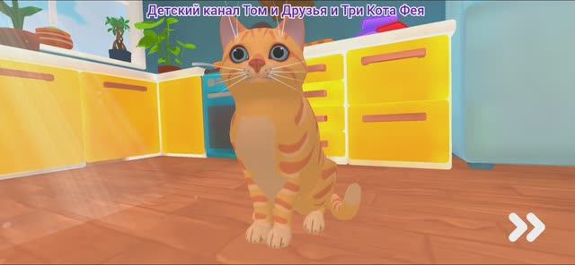 Кот и Бабка