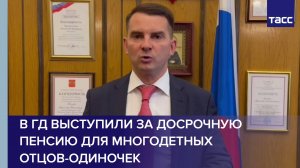 В ГД выступили за досрочную пенсию для многодетных отцов-одиночек