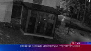 Полицейские обезвредили межрегиональную группу квартирных воров