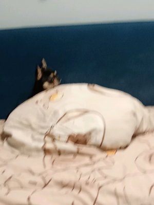 продолжение