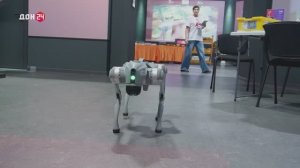 Волгодонск и Батайск показали свои достижения на выставке «Дни муниципальных образований»