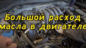 Большой расход масла в двигателе | Ищем причину | АвтоМотоТЕРРИТОРИЯ