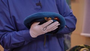 Музейные истории | Дембельская форма. Серия 1